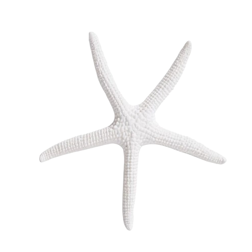 White resin star fish finger