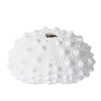 Knobbly Sea Urchin | White