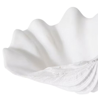 white polyresin clam shell