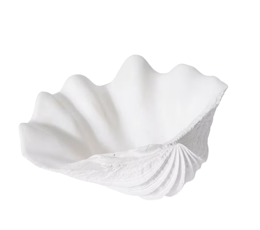 Clam Shell | White
