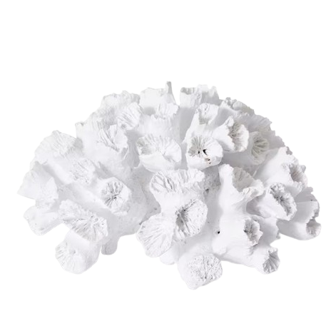 White Flower Coral Artificial