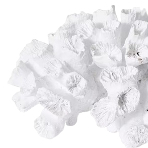 White Flower Coral Artificial