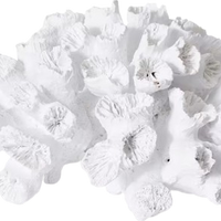 White Flower Coral Artificial