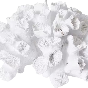 White Flower Coral Artificial