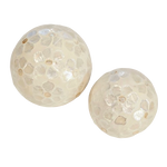 Daisy Capiz Shell Ball