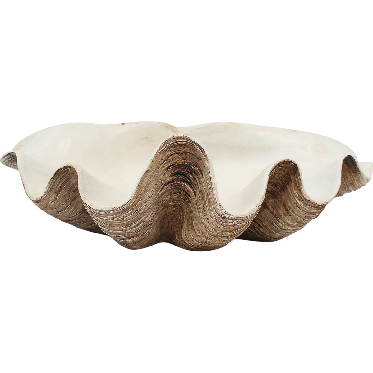 Clam Shell | Vintage