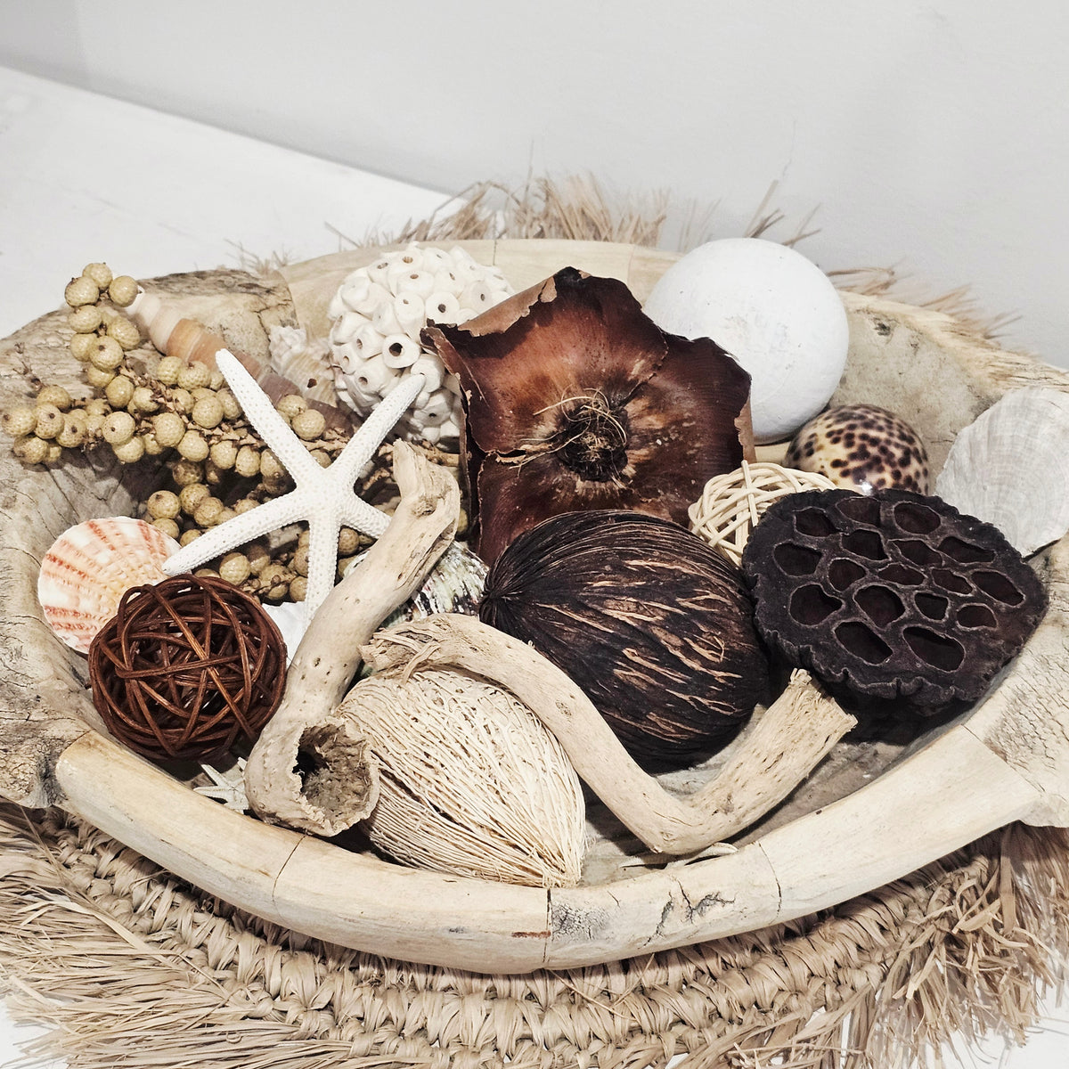 Dried Organic Botanical Pack for coastal home decor, Boho styling, and natural interior accents