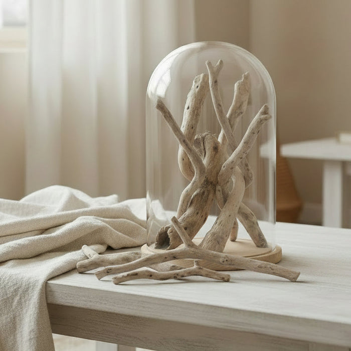 Add coastal charm with our Sun Bleached Driftwood Branch Set of 3. Aged balsa wood branches perfect for beach house, Hamptons and coastal styling.