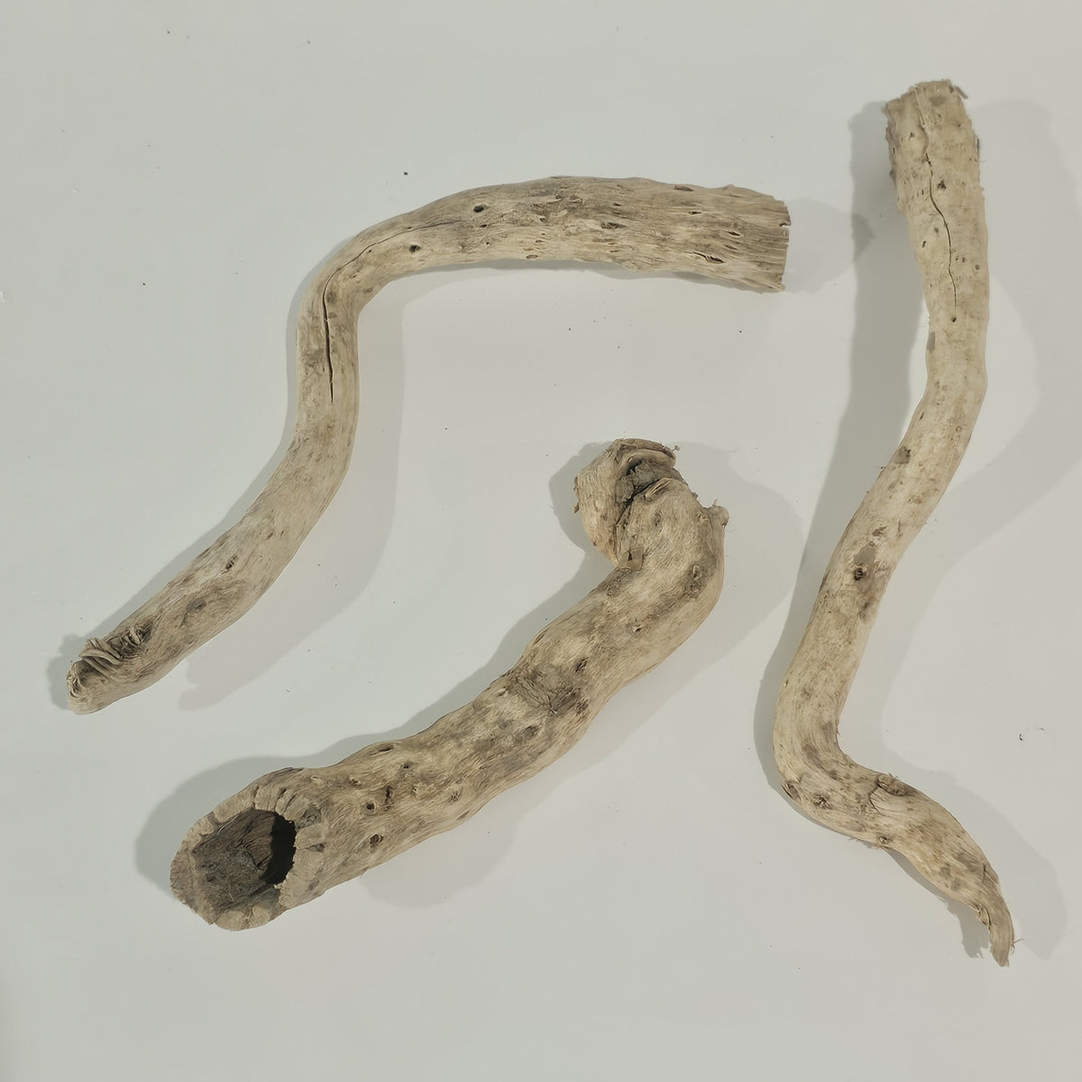 Sun Bleached Driftwood Branch Set of 3 | For Coastal & Rustic Styling