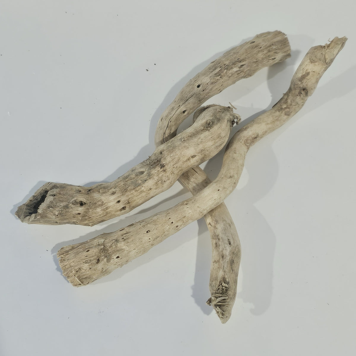Sun Bleached Driftwood Branch Set of 3 | For Coastal & Rustic Styling