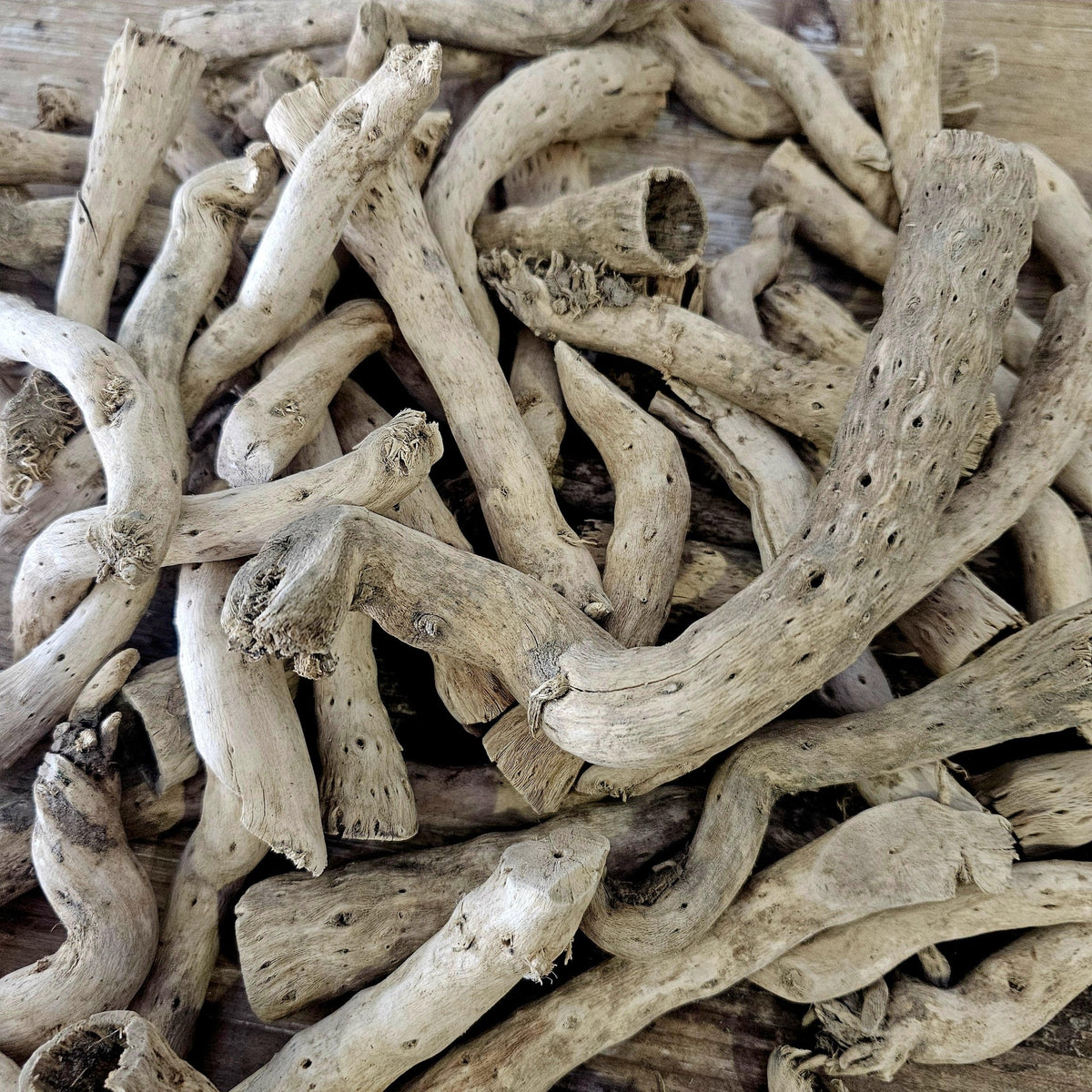 Sun Bleached Driftwood Branch Set of 3 | For Coastal & Rustic Styling
