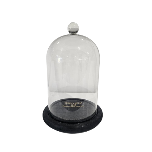 Glass Cloche | For Candles or Botanical Styling