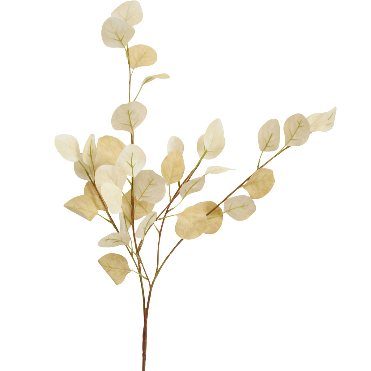 Golden Dollar Stem Artificial