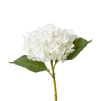 Hydrangea Stem | White