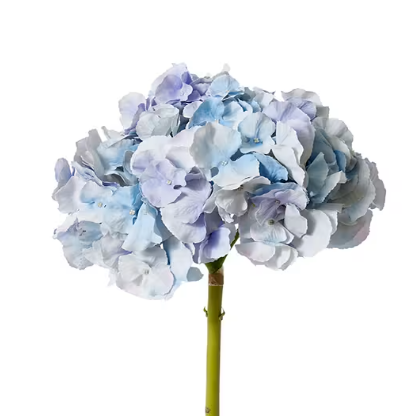 Hydrangea Stem | Soft Blue