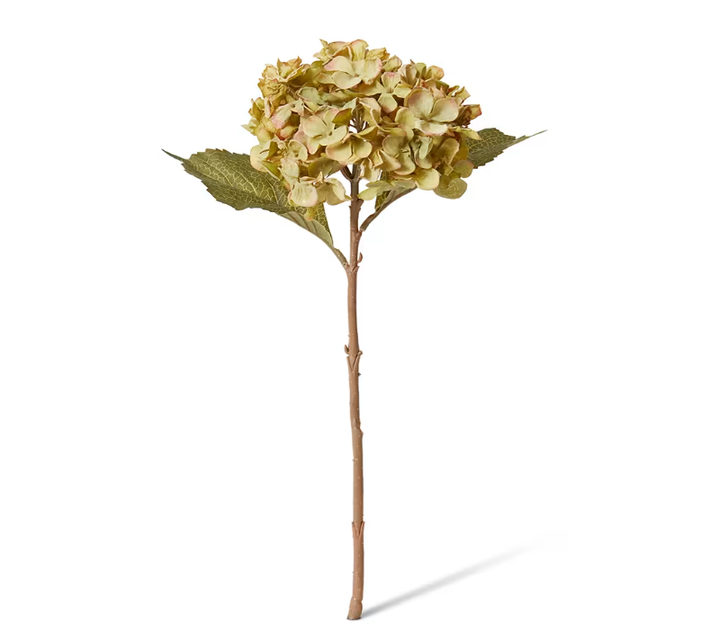 Hydrangea Stem | Dusty Green