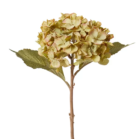 Hydrangea Stem | Dusty Green