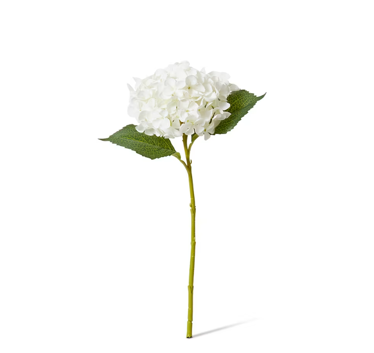 Hydrangea Stem | White