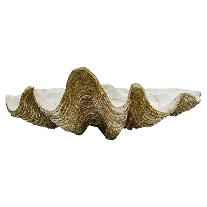 Coastal Vintage Clam Shell 69 cm