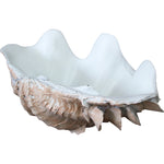 Luxe Vintage Petite Clam Shell