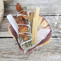 Lavender Sage Smudge Kit | Lions Paw Shell