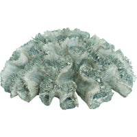 Artificial Flat Reef Coral Sea Green