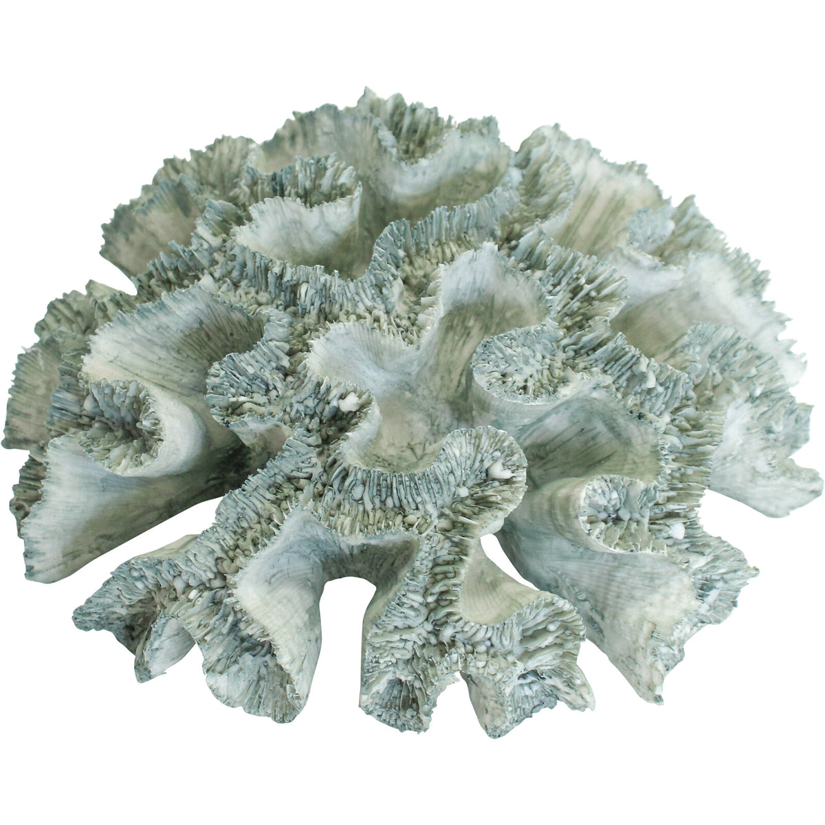 Artificial Flat Reef Coral Sea Green