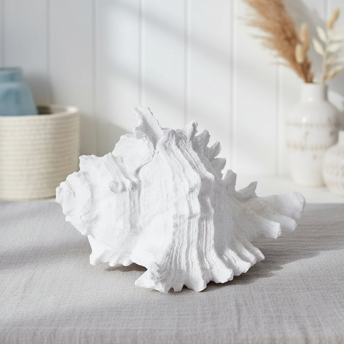 White decorative shell beach house coastal decor