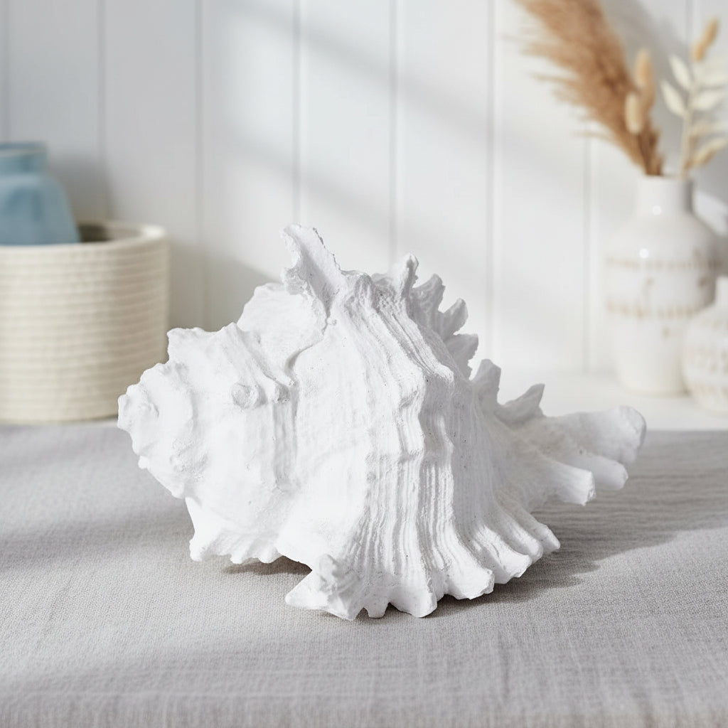 White Murex Shell