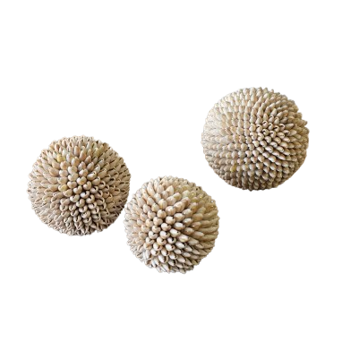 Lola Cowrie Shell Ball | Natural