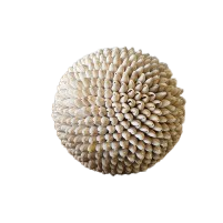 Lola Cowrie Shell ball handcrafted balinese coastal home decor