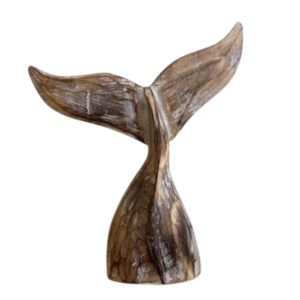 Swaying Whale Tail | Natural 25 cm.