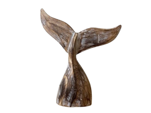 Swaying Whale Tail | Natural 25 cm.