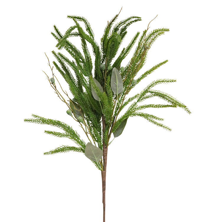 Norfolk Pine and Eucalyptus Stem