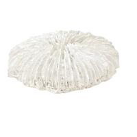 Fungia Coral | White