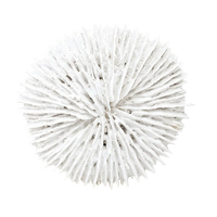 Fungia Coral | White