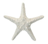 Thorny White Resin Star Fish Sculpture