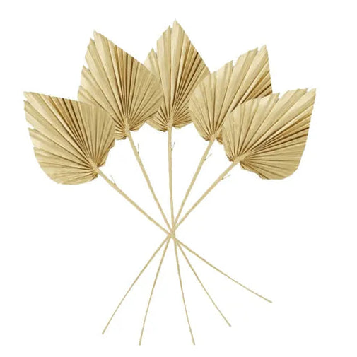 Preserved Natural Palm Leaf Set of 5 | Gold