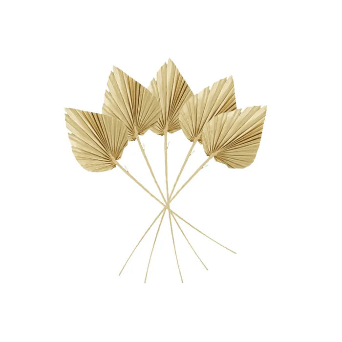 Preserved Natural Palm Leaf Set of 5 | Gold