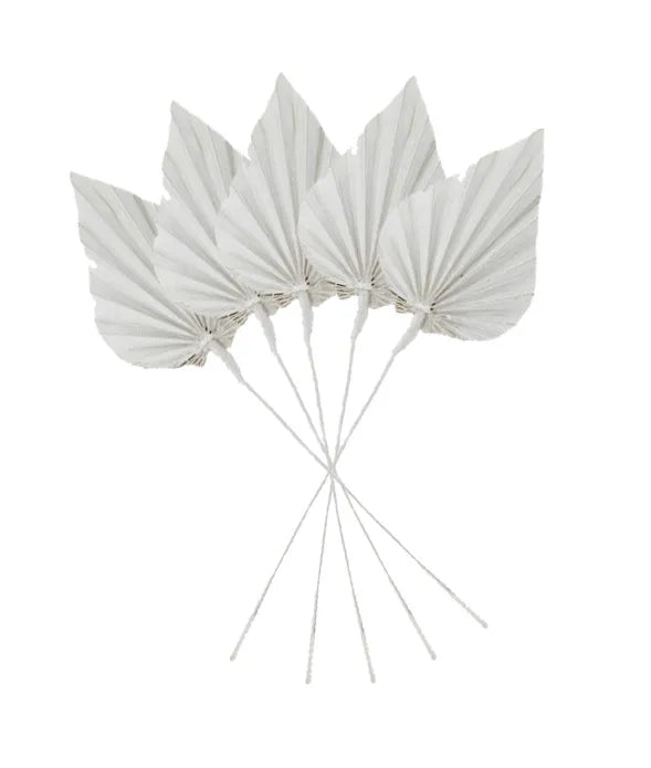 Preserved Palm Leaf Set of 5 | Spade | White