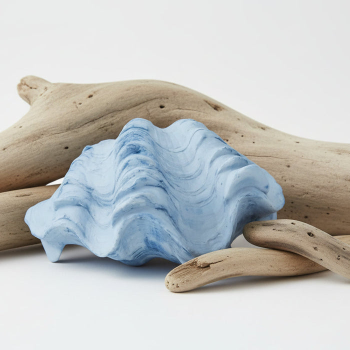 blue resin clam shell styled with driftwood decorative piece for coastal beach house decor