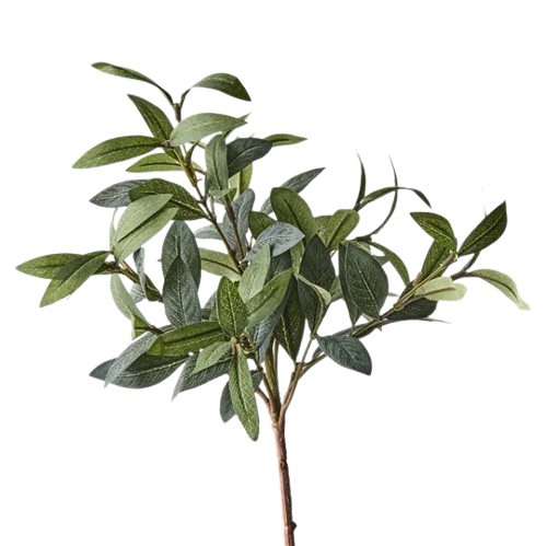 Olive Stem Spray