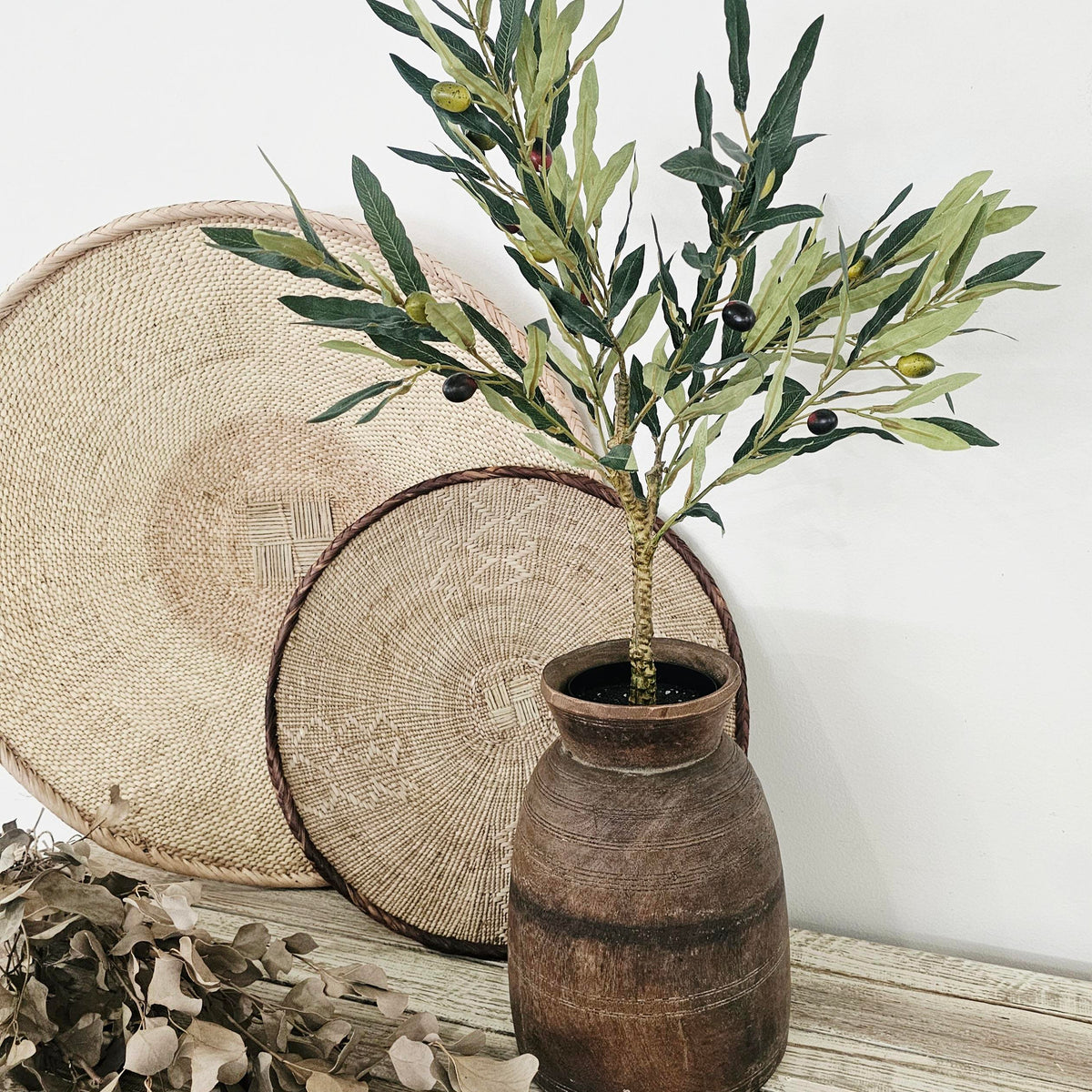 Olive Tree with Fruit | 60 cm