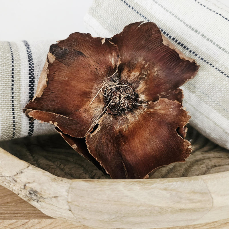 Preserved Palm Cap | Natural