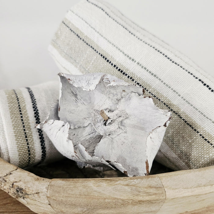 Preserved Palm Cap | Whitewash