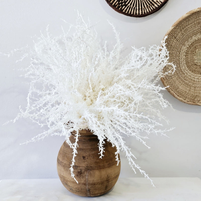 Pampas Grass Bundle | White