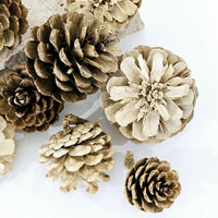 Pine Cone Head | Set of 2