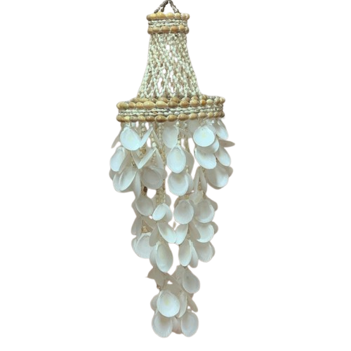 Decorative chandelier with shell elements on a white background