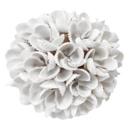 Frangipani Shell Ball | Small