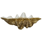 Coastal Vintage Clam Shell 69 cm